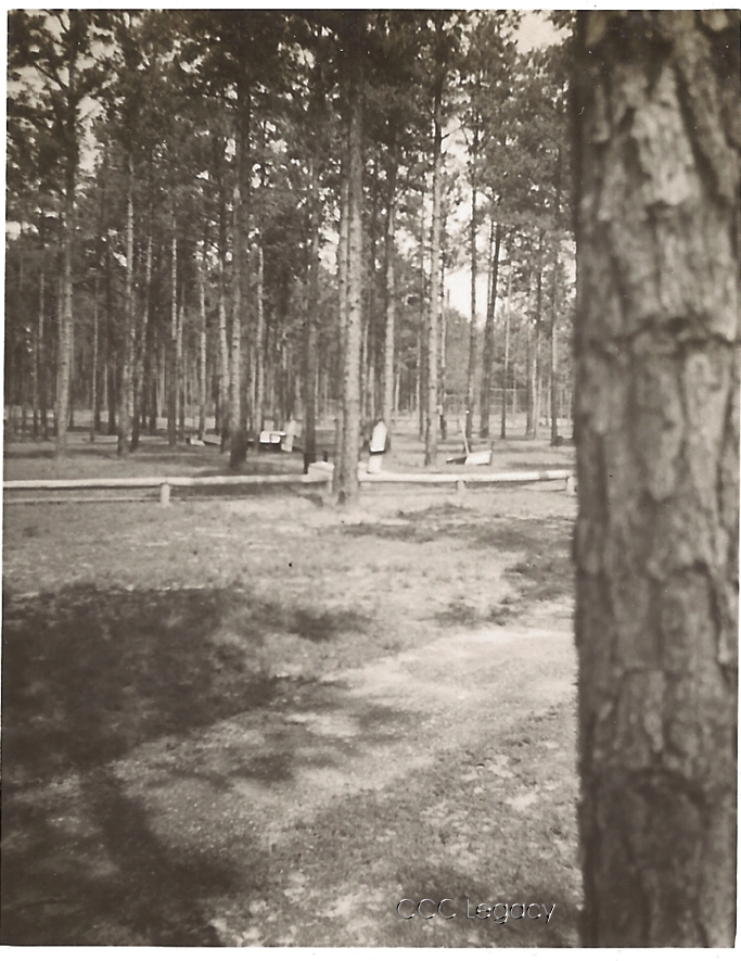 A CCC-built recreation area in Virginia's George Washington National Forest — representative of the trails, shelters, and facilities constructed by Company 333 at Wolf Gap